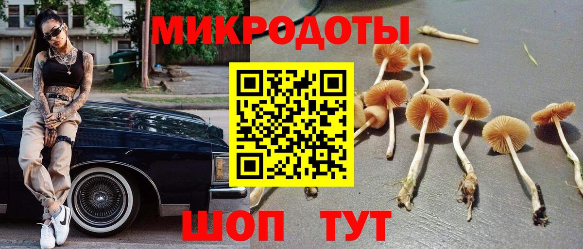 Моздок  Псилоцибиновые грибы мухоморы  купить наркотики сайты  Вход с VPN 