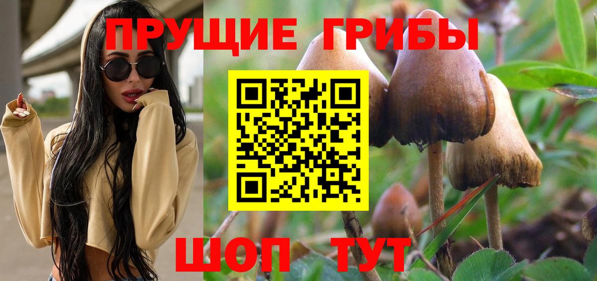 МЕТАДОН Моздок