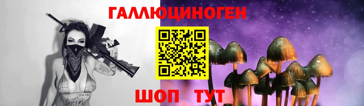 Галлюциногенные грибы Psilocybine cubensis Моздок